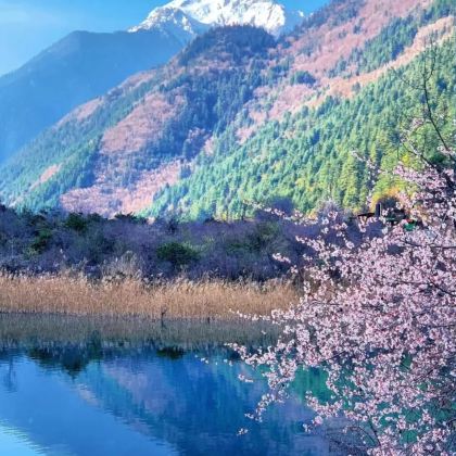 成都+九寨沟风景区+黄龙风景名胜区5日4晚私家团 成都+九寨沟风景区+黄龙风景名胜区5日4晚私家团