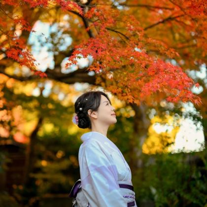 日本大阪+京都+箱根+东京9日8晚私家团 日本大阪+京都+箱根+东京9日8晚私家团