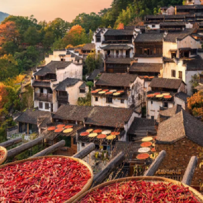 江西南昌+庐山+景德镇+婺源+井冈山6日5晚跟团游 江西南昌+庐山+景德镇+婺源+井冈山6日5晚跟团游