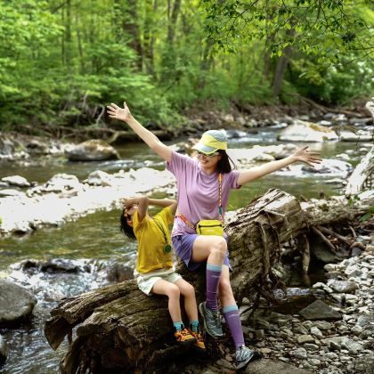 张家界+张家界国家森林公园+天门山+凤凰古城3日2晚私家团 张家界+张家界国家森林公园+天门山+凤凰古城3日2晚私家团
