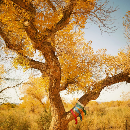 新疆乌鲁木齐+阿勒泰地区+赛里木湖10日9晚自由行 新疆乌鲁木齐+阿勒泰地区+赛里木湖10日9晚自由行