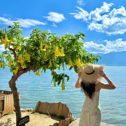 昆明+大理市+丽江+香格里拉+西双版纳10日9晚私家团 昆明+大理市+丽江+香格里拉+西双版纳10日9晚私家团