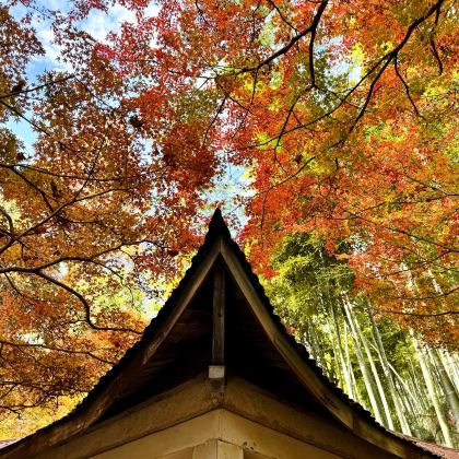 湖州+莫干山风景名胜区3日2晚私家团 湖州+莫干山风景名胜区3日2晚私家团