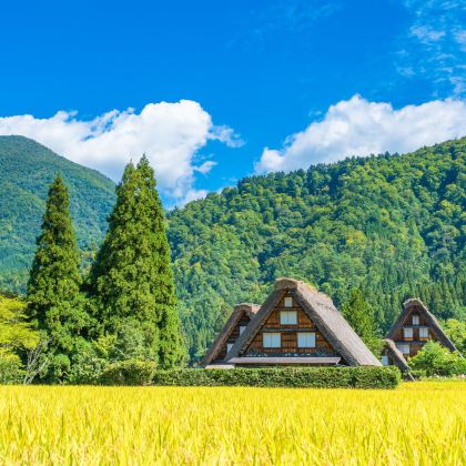 日本7日6晚拼小团 日本7日6晚拼小团