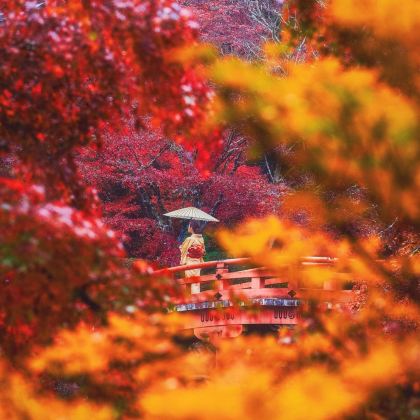 日本北海道札幌+小樽+登别+洞爷湖+富良野6日5晚跟团游 日本北海道札幌+小樽+登别+洞爷湖+富良野6日5晚跟团游