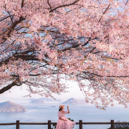 日本大阪+京都+奈良6日5晚私家团 日本大阪+京都+奈良6日5晚私家团