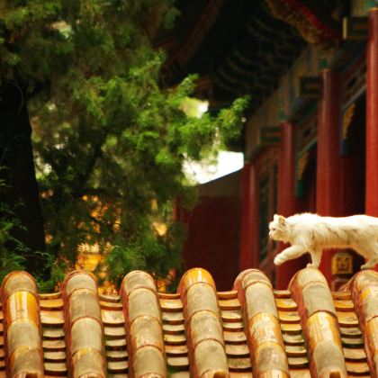 北京5日4晚跟团游 北京5日4晚跟团游