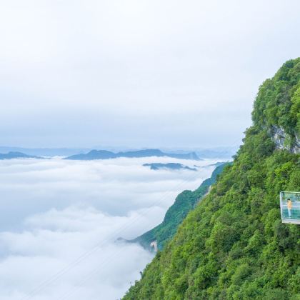 李白故居+九皇山+中华洞天+绵阳2日1晚私家团 李白故居+九皇山+中华洞天+绵阳2日1晚私家团