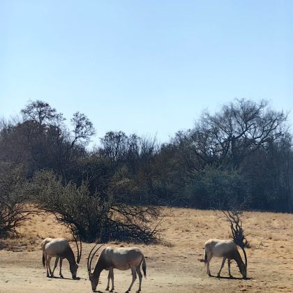 南非10日8晚私家团 南非10日8晚私家团