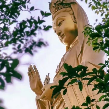 杭州+绍兴+乌镇+普陀山风景区6日5晚跟团游 杭州+绍兴+乌镇+普陀山风景区6日5晚跟团游
