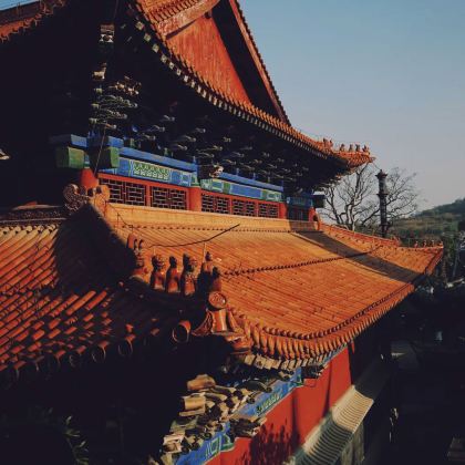 四川遂宁+四川宋瓷博物馆+圣莲岛景区+子昂故里文化旅游区+沱牌舍得文化旅游区2日1晚跟团游 四川遂宁+四川宋瓷博物馆+圣莲岛景区+子昂故里文化旅游区+沱牌舍得文化旅游区2日1晚跟团游