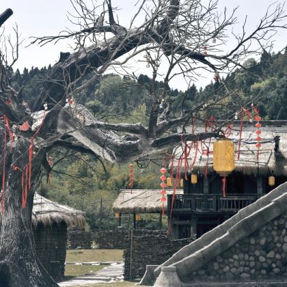 黄娥故里+3536三线城+千年卓筒井采盐遗址保护区+大英影视城-雪村2日跟团游 黄娥故里+3536三线城+千年卓筒井采盐遗址保护区+大英影视城-雪村2日跟团游