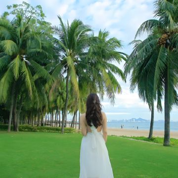 海南海口+三亚+蜈支洲岛3日2晚跟团游 海南海口+三亚+蜈支洲岛3日2晚跟团游