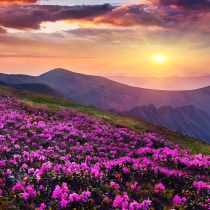 毕节+奢香古镇+慕俄格古城+阿西里西大草原+阿西里西韭菜坪+织金洞+织金大峡谷3日2晚私家团 毕节+奢香古镇+慕俄格古城+阿西里西大草原+阿西里西韭菜坪+织金洞+织金大峡谷3日2晚私家团