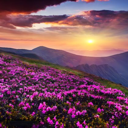 毕节+阿西里西大草原+阿西里西韭菜坪+织金洞+平远古镇+吊水岩瀑布+9洞18河景区5日4晚私家团 毕节+阿西里西大草原+阿西里西韭菜坪+织金洞+平远古镇+吊水岩瀑布+9洞18河景区5日4晚私家团