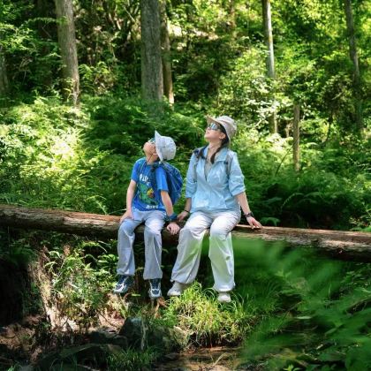 广西崇左+德天瀑布+古龙山大峡谷+钦州三娘湾+北海银滩+发现·弄岗景区6日5晚私家团 广西崇左+德天瀑布+古龙山大峡谷+钦州三娘湾+北海银滩+发现·弄岗景区6日5晚私家团