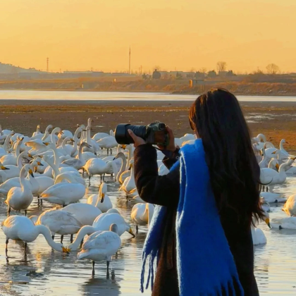 青岛+威海+烟台+蓬莱区5日4晚跟团游 青岛+威海+烟台+蓬莱区5日4晚跟团游