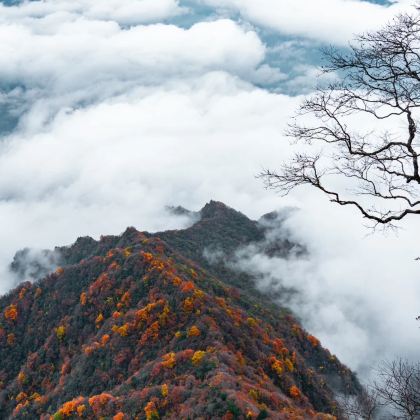 汉中+黎坪森林公园+光雾山旅游景区+黑熊沟+十八月潭景区4日3晚拼小团 汉中+黎坪森林公园+光雾山旅游景区+黑熊沟+十八月潭景区4日3晚拼小团