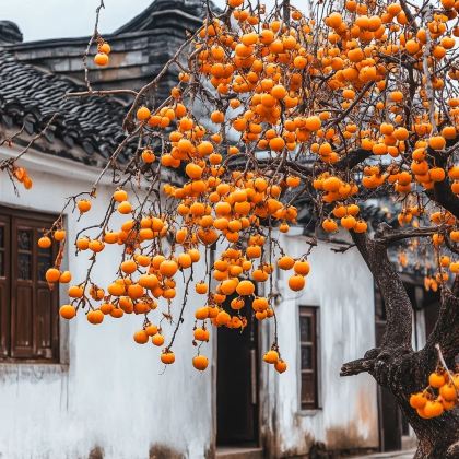江西南昌+庐山+景德镇+婺源篁岭景区+望仙谷+三清山6日5晚跟团游 江西南昌+庐山+景德镇+婺源篁岭景区+望仙谷+三清山6日5晚跟团游