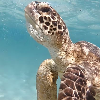 日本冲绳县那霸+宫古岛5日私家团 日本冲绳县那霸+宫古岛5日私家团
