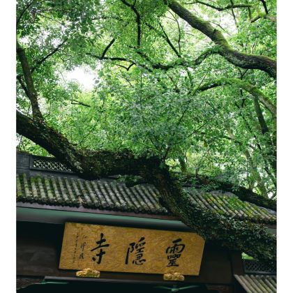 杭州4日3晚私家团 杭州4日3晚私家团