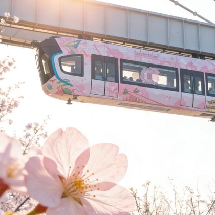 武汉+黄鹤楼+湖北省博物馆+东湖生态旅游风景区5日4晚私家团 武汉+黄鹤楼+湖北省博物馆+东湖生态旅游风景区5日4晚私家团