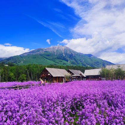 新疆北疆+天山天池+喀纳斯景区+赛里木湖+巴音布鲁克草原+那拉提旅游风景区10日9晚跟团游