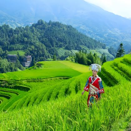 广西桂林+龙脊梯田+漓江+阳朔+北海6日5晚跟团游 广西桂林+龙脊梯田+漓江+阳朔+北海6日5晚跟团游