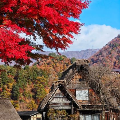日本名古屋5日4晚私家团 日本名古屋5日4晚私家团