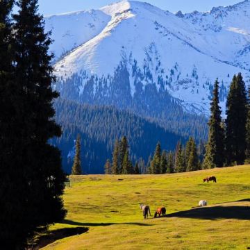 新疆乌鲁木齐+南疆+北疆22日21晚私家团 新疆乌鲁木齐+南疆+北疆22日21晚私家团