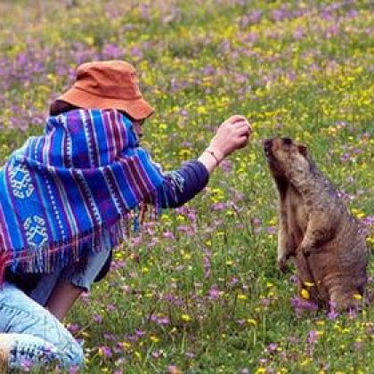 黄河石林国家地质公园+乌鞘岭+天梯山石窟2日1晚跟团游 黄河石林国家地质公园+乌鞘岭+天梯山石窟2日1晚跟团游