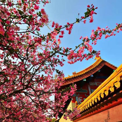 江苏无锡2日1晚跟团游 江苏无锡2日1晚跟团游