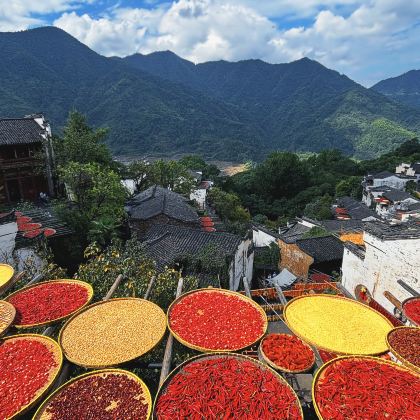 婺源+黄山风景区2日1晚私家团 婺源+黄山风景区2日1晚私家团