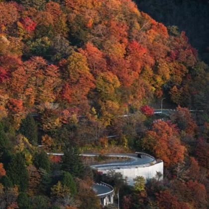 日本东京+日光市+茨城+春日部市7日6晚拼小团 日本东京+日光市+茨城+春日部市7日6晚拼小团