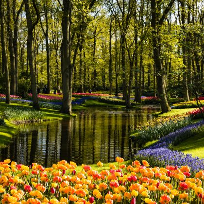 阿姆斯特丹+海牙+鹿特丹+爱因霍温+德哈尔古堡11日10晚私家团 阿姆斯特丹+海牙+鹿特丹+爱因霍温+德哈尔古堡11日10晚私家团