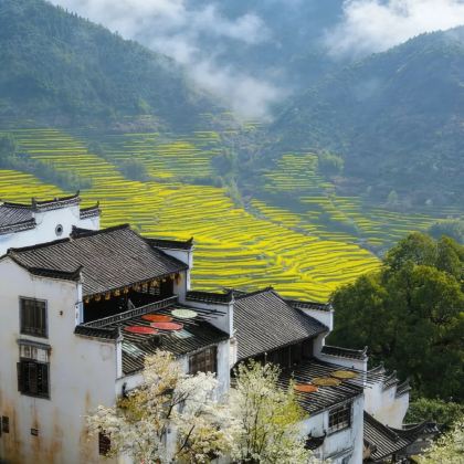 江西南昌+景德镇+三清山+婺女洲度假区+婺源篁岭5日4晚私家团 江西南昌+景德镇+三清山+婺女洲度假区+婺源篁岭5日4晚私家团