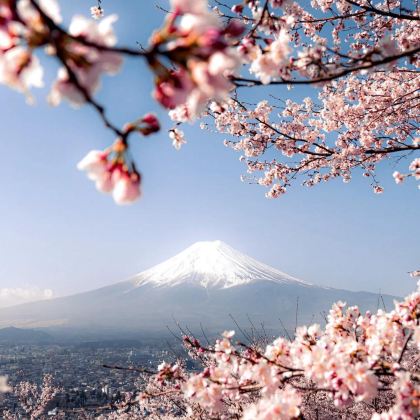 日本富士山2日1晚私家团 日本富士山2日1晚私家团