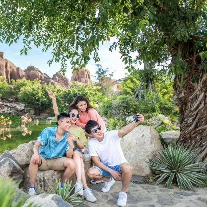 越南芽庄+美奈+胡志明市5日4晚私家团 越南芽庄+美奈+胡志明市5日4晚私家团