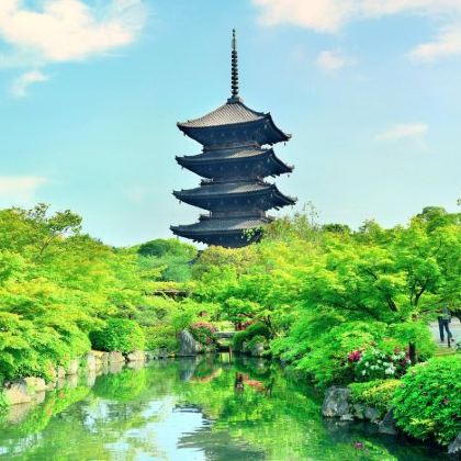 日本大阪+奈良+京都+富士山+东京8日7晚私家团 日本大阪+奈良+京都+富士山+东京8日7晚私家团