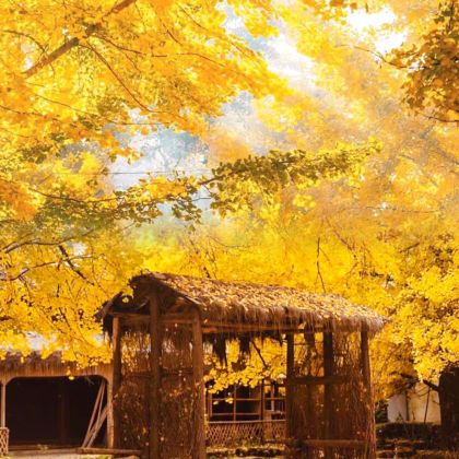 腾冲+芒市6日5晚私家团 腾冲+芒市6日5晚私家团