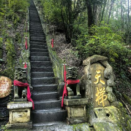 西安+安康+石泉4日3晚私家团 西安+安康+石泉4日3晚私家团