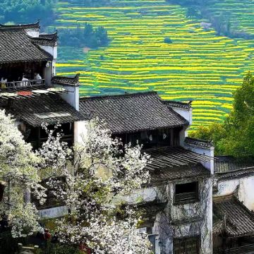 江西望仙谷+三清山风景区+婺源篁岭景区+景德镇5日4晚私家团 江西望仙谷+三清山风景区+婺源篁岭景区+景德镇5日4晚私家团