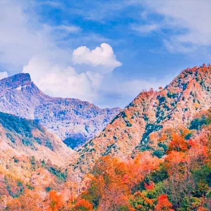 光雾山旅游景区+米仓山国家森林公园+三星堆博物馆+阆中古城5日4晚跟团游 光雾山旅游景区+米仓山国家森林公园+三星堆博物馆+阆中古城5日4晚跟团游