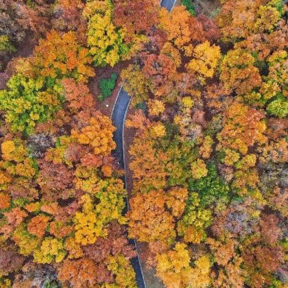 安徽淮南3日2晚自由行 安徽淮南3日2晚自由行
