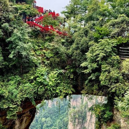 长沙+天门山+张家界国家森林公园+凤凰古城+韶山5日4晚私家团 长沙+天门山+张家界国家森林公园+凤凰古城+韶山5日4晚私家团