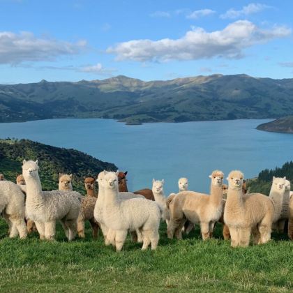 澳大利亚墨尔本+新西兰南岛12日10晚自由行 澳大利亚墨尔本+新西兰南岛12日10晚自由行