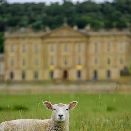 英国伦敦+剑桥+约克+湖区+曼彻斯特+伯明翰+牛津+科茨沃尔德+巴斯+坎特伯雷+多佛尔白色悬崖13日12晚拼小团 英国伦敦+剑桥+约克+湖区+曼彻斯特+伯明翰+牛津+科茨沃尔德+巴斯+坎特伯雷+多佛尔白色悬崖13日12晚拼小团