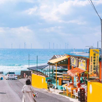 首尔+济州岛6日5晚跟团游 首尔+济州岛6日5晚跟团游