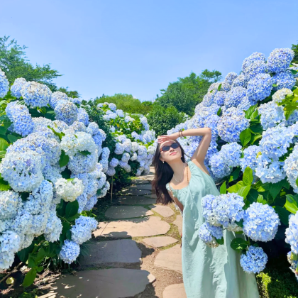 韩国济州岛4日3晚私家团 韩国济州岛4日3晚私家团
