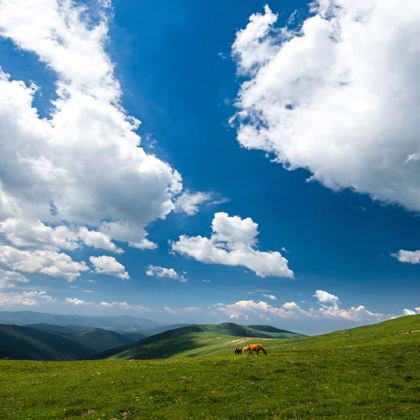 内蒙古呼和浩特+希拉穆仁草原+包头+七星湖沙漠生态旅游区+夜鸣沙旅游区3日2晚私家团 内蒙古呼和浩特+希拉穆仁草原+包头+七星湖沙漠生态旅游区+夜鸣沙旅游区3日2晚私家团